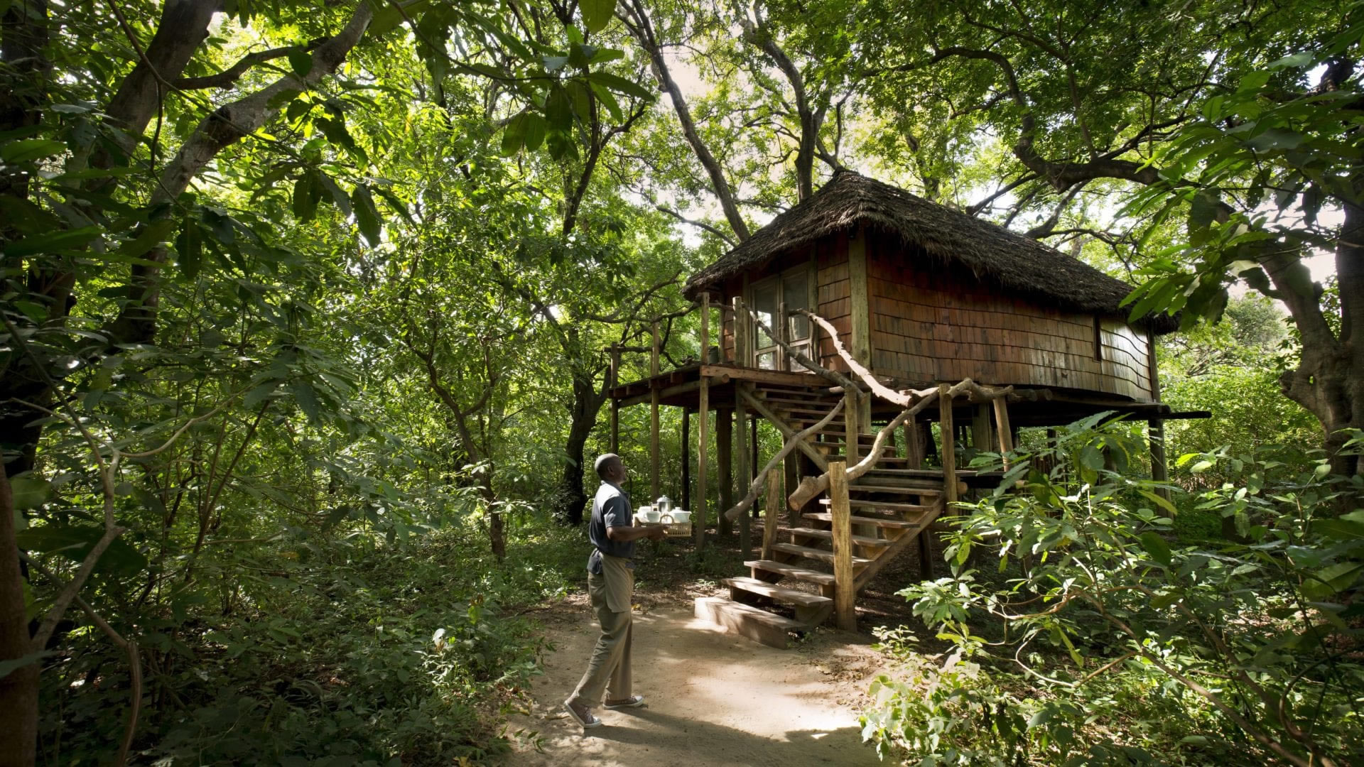lake manyara tree lodge