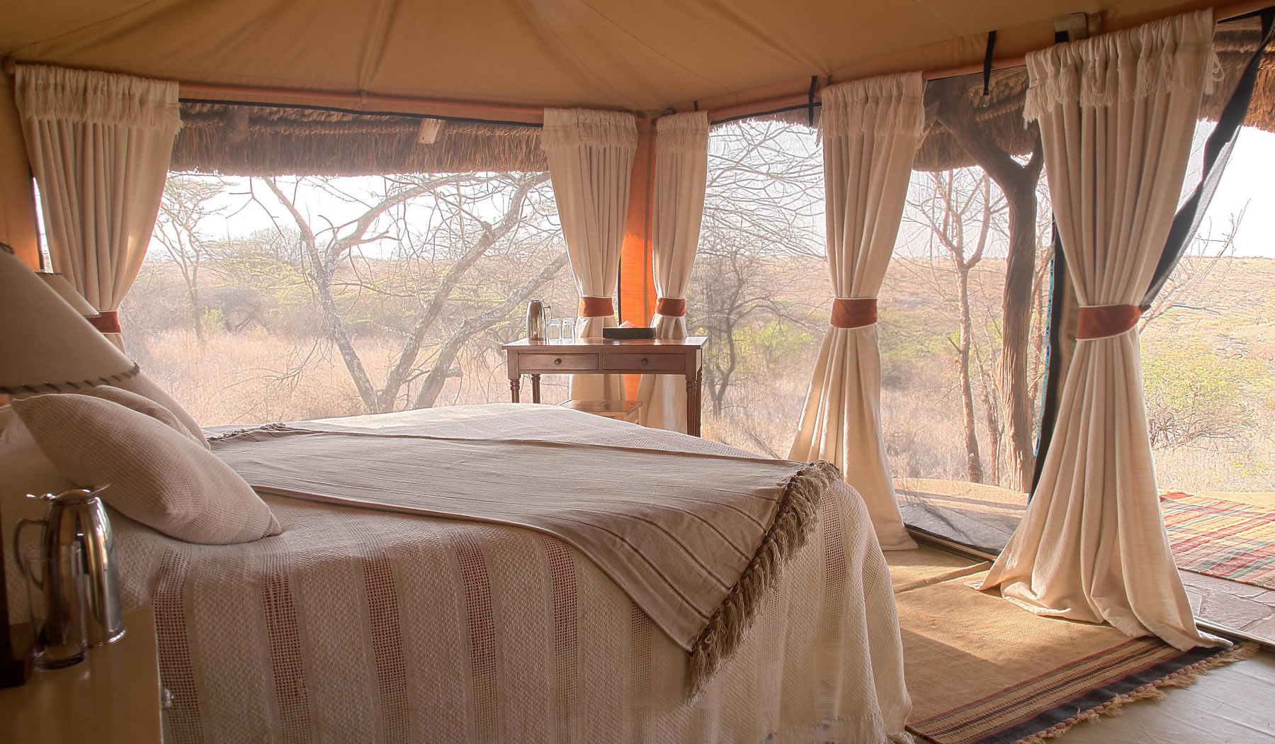 lewa safari camp lewa safari camp