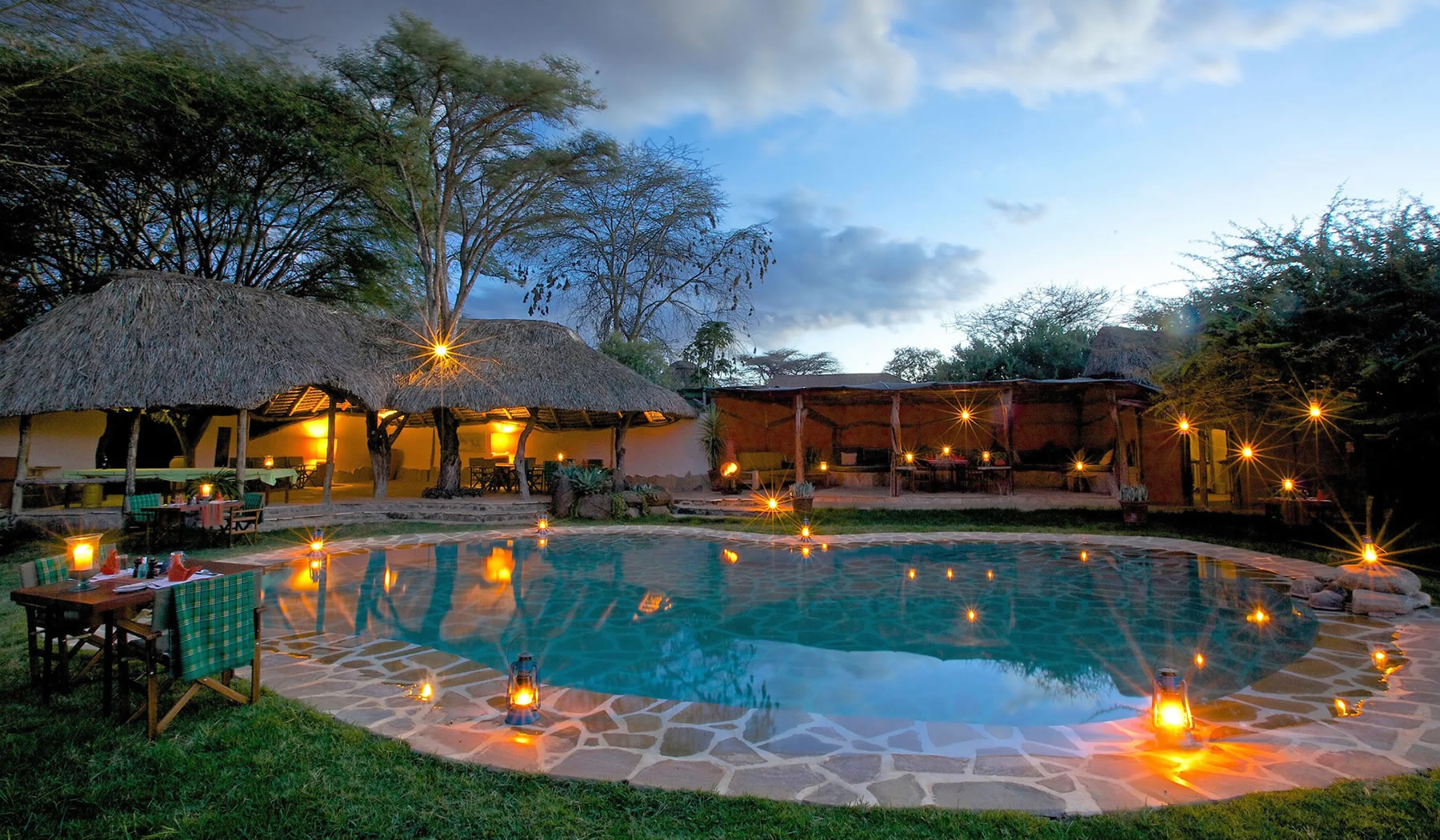 lewa safari camp lewa safari camp