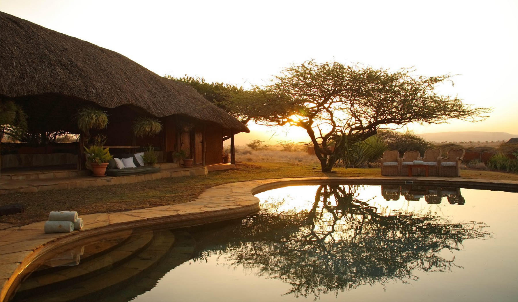 lewa safari camp lewa safari camp