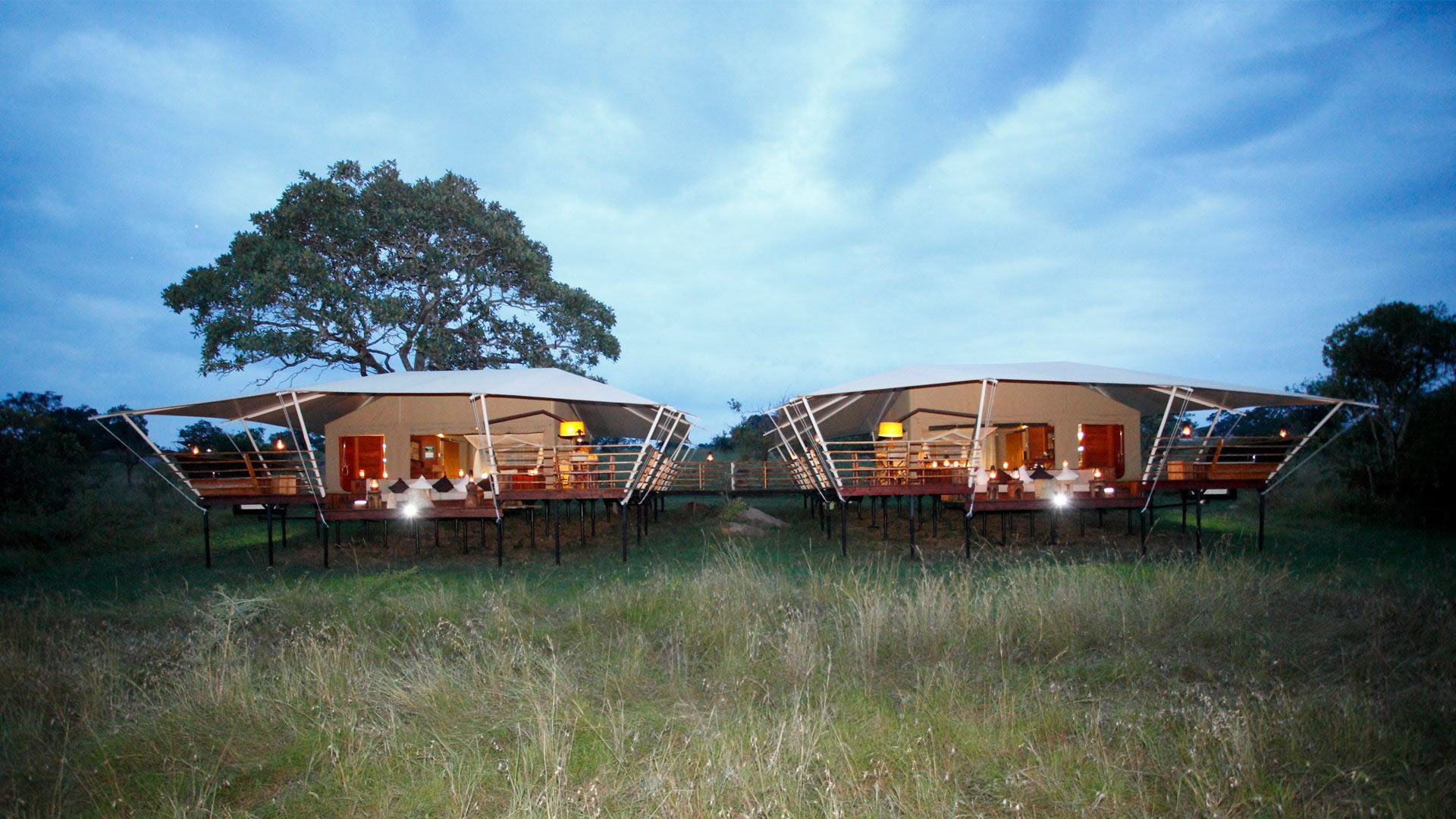 serengeti bushtops camp