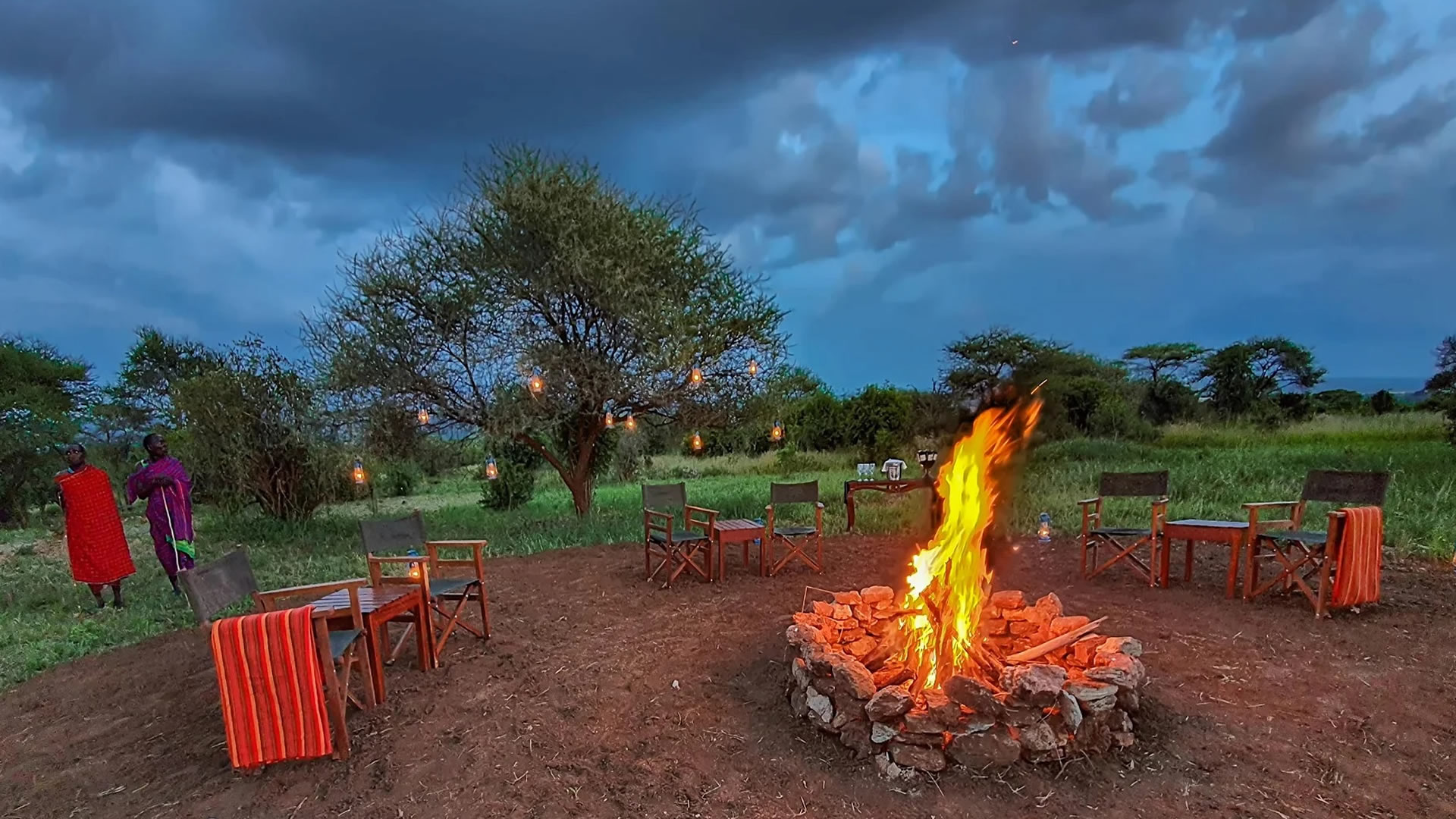 tarangire kuro treetops lodge