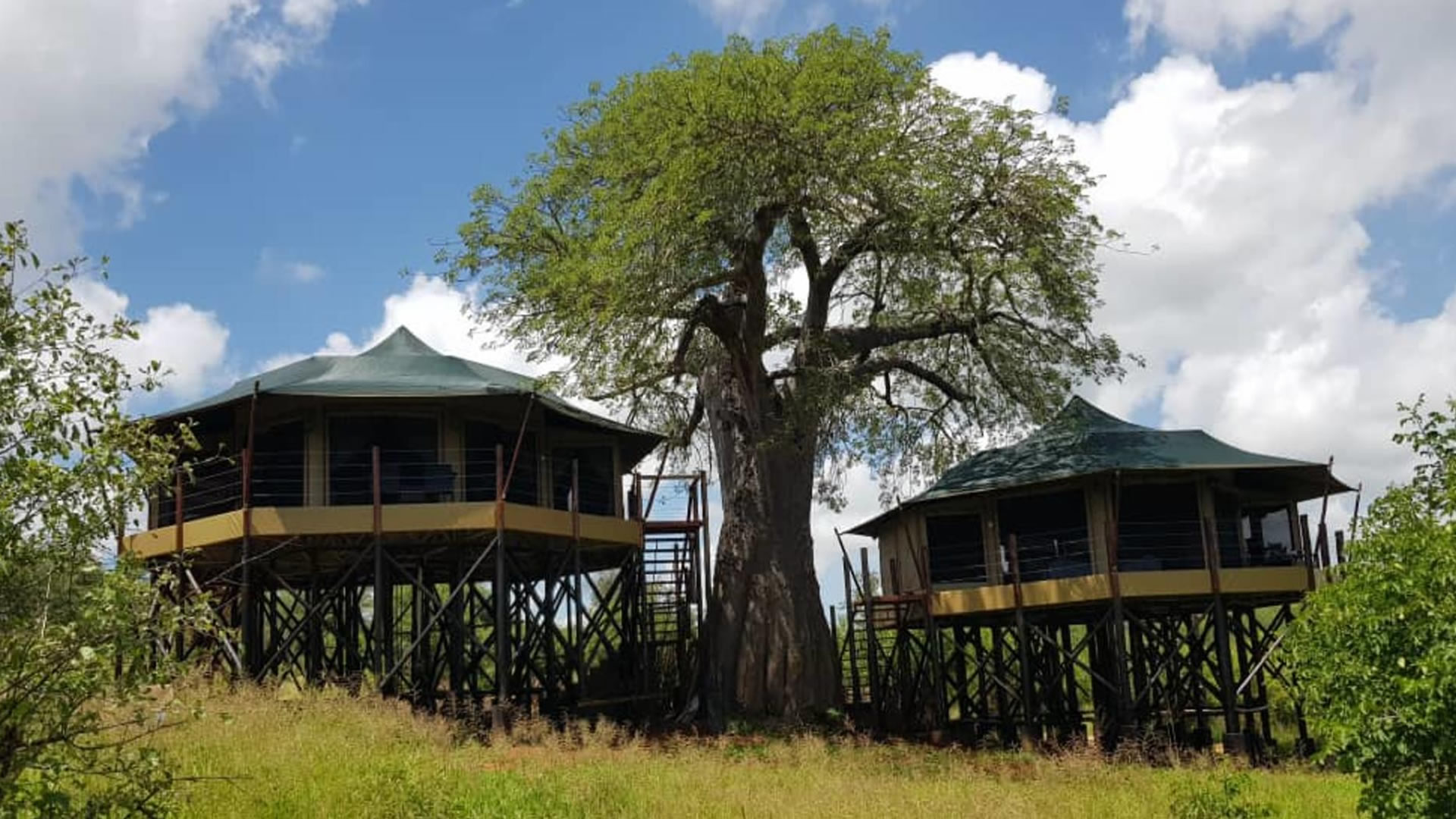 tarangire kuro treetops lodge