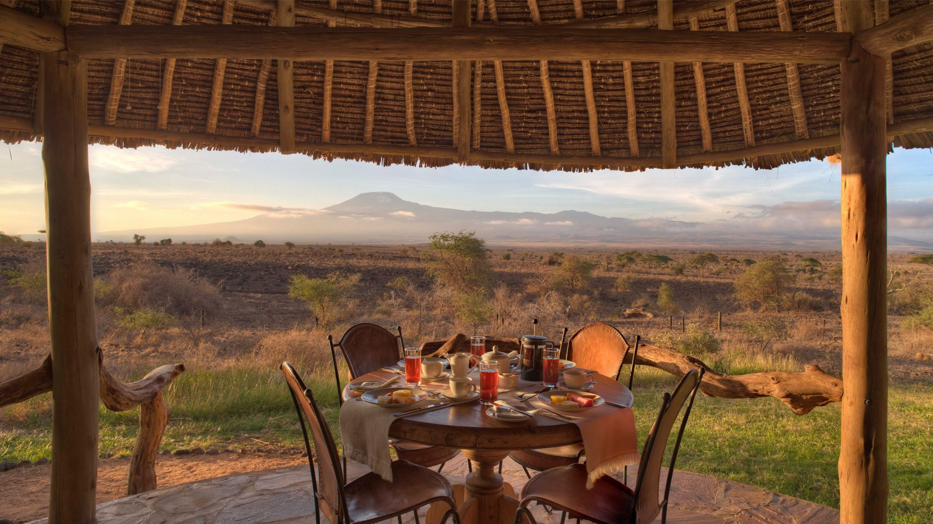 tortilis safari camp tortilis safari camp