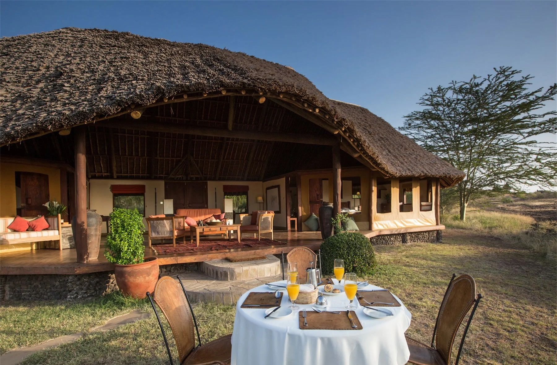 tortilis safari camp tortilis safari camp