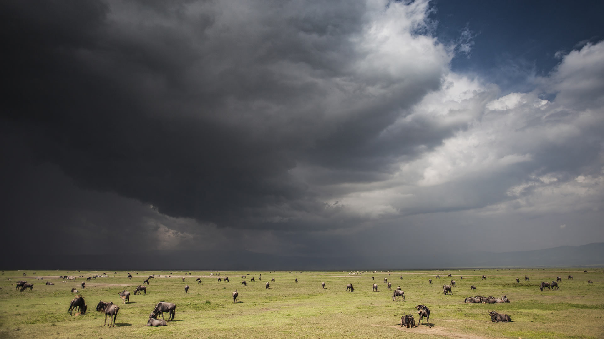 ngorongoro crater