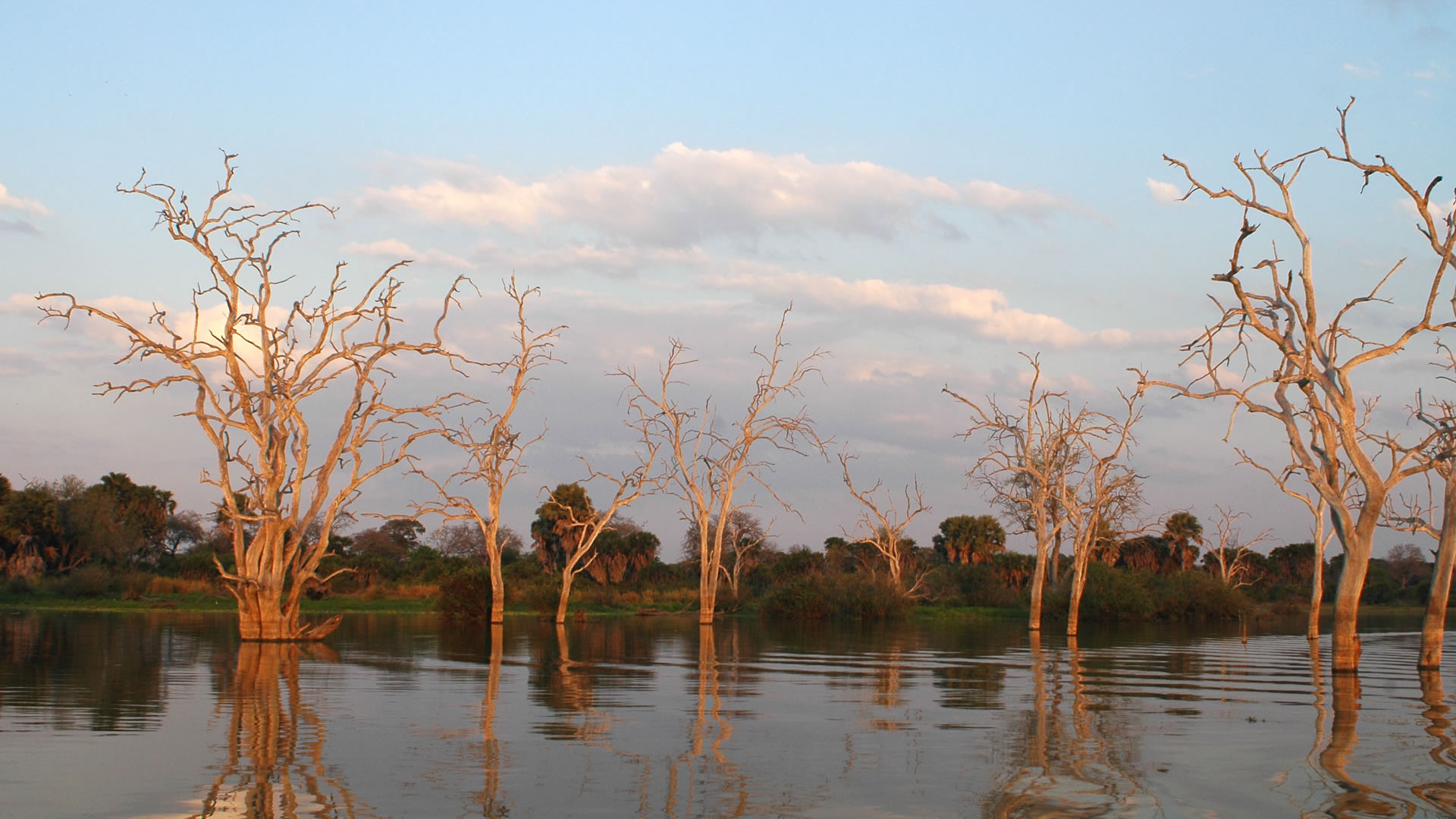 nyerere national park