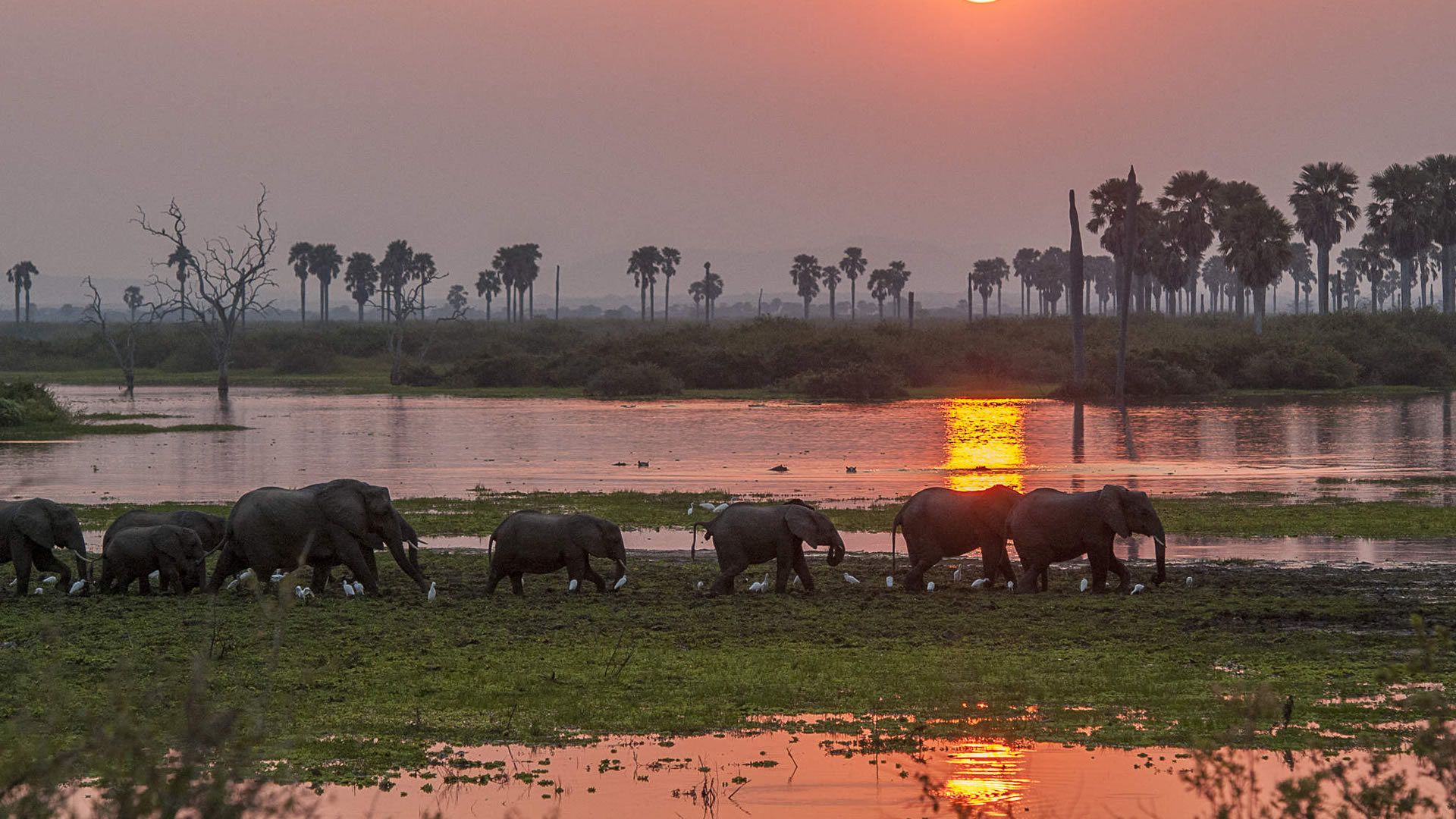 nyerere national park