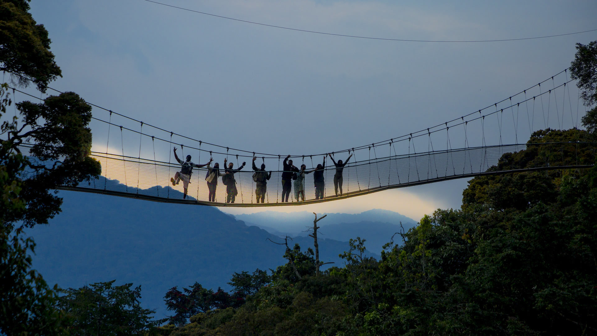 nyungwe forest national park