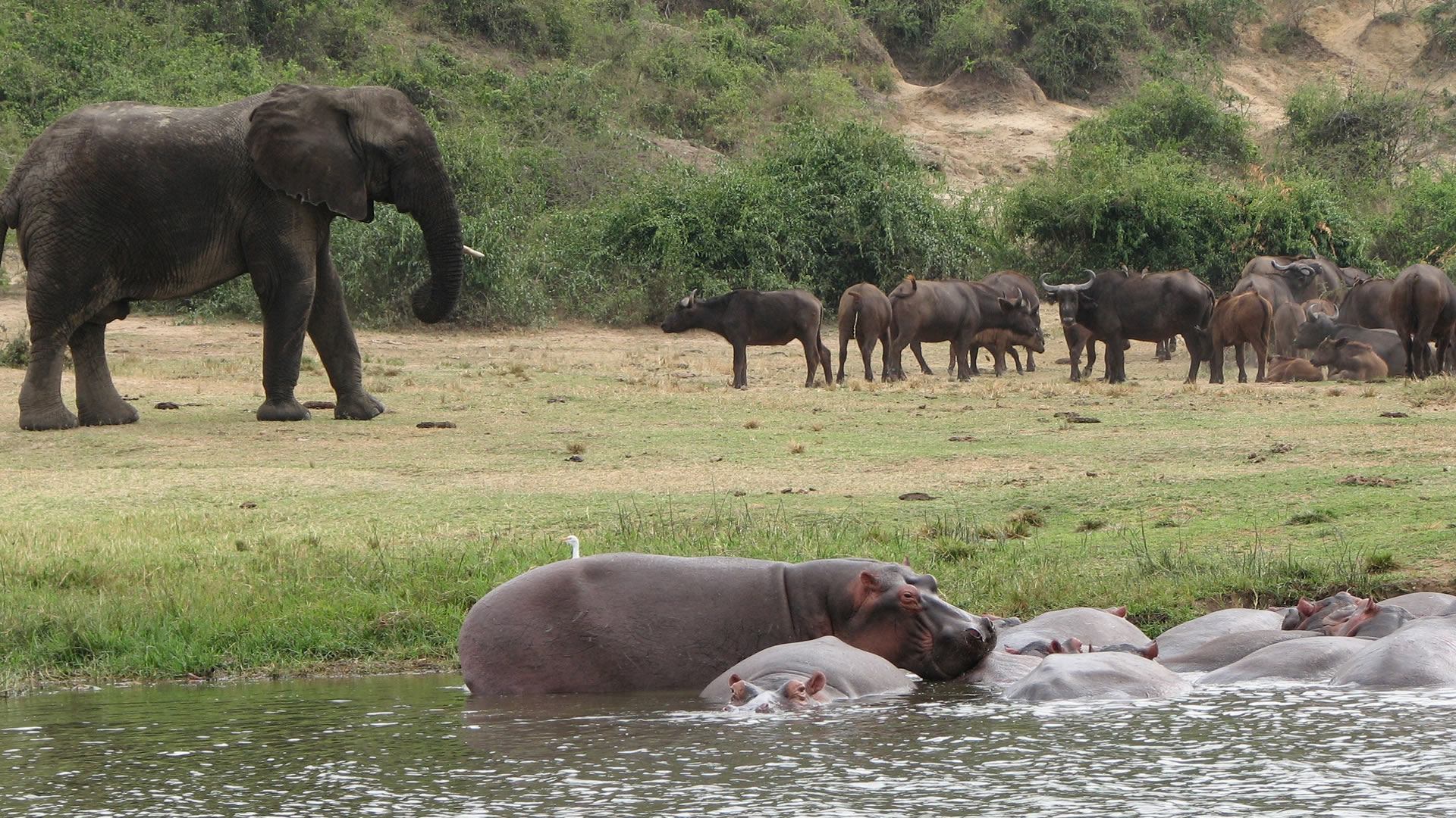 queen elizabeth national park