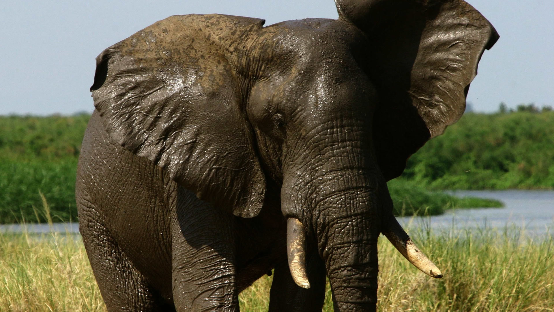 queen elizabeth national park