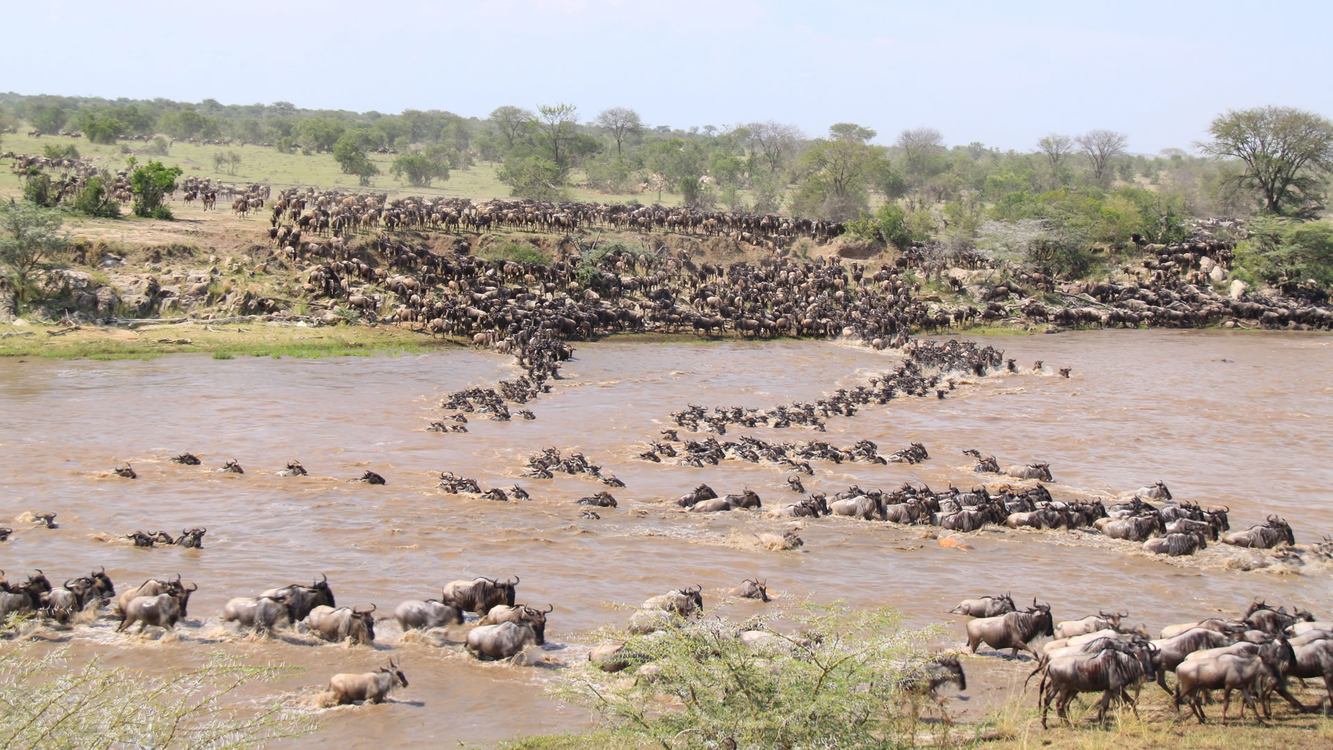 serengeti national park