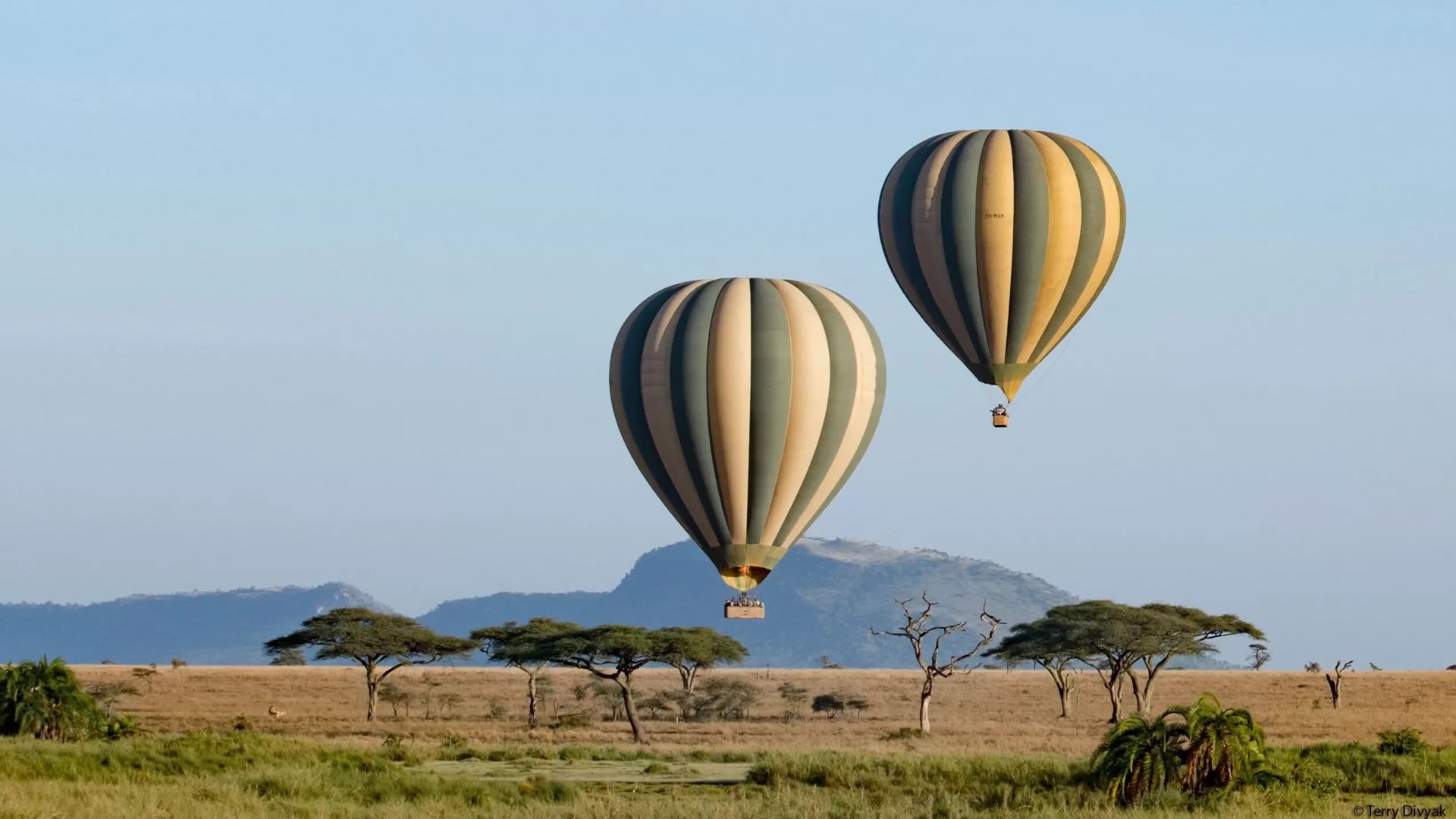serengeti national park