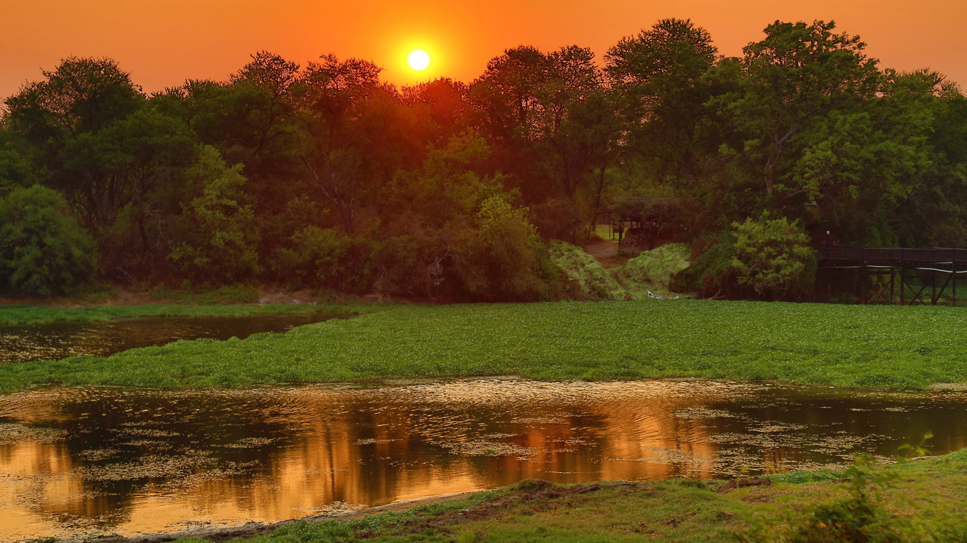 Antelope Reserve Park