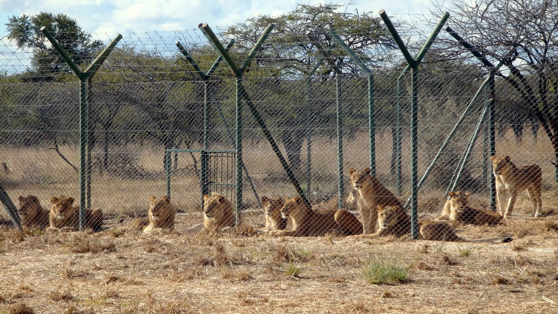 Antelope Reserve Park