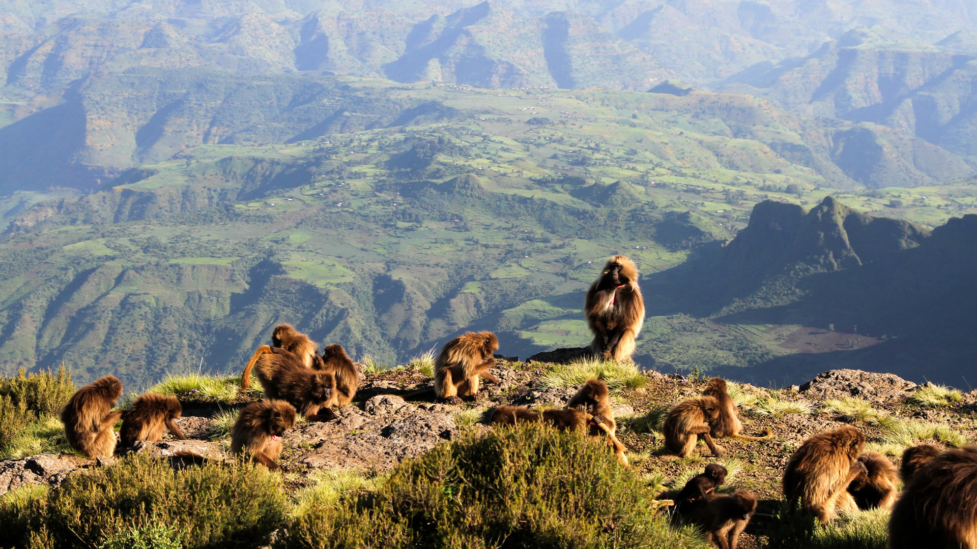 Simien Mountains National Park